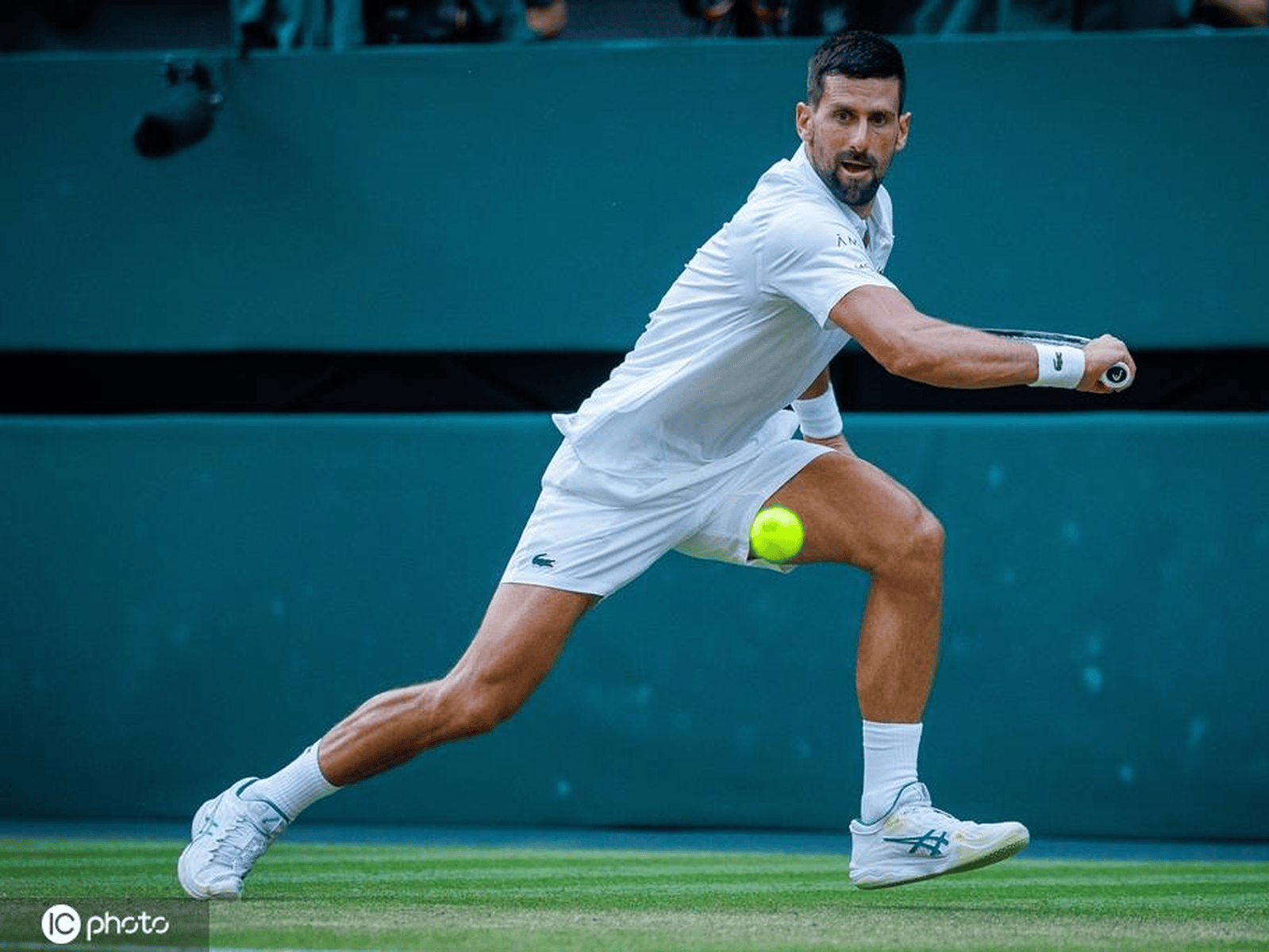 ATP总决赛力克拉沃尔杯，德约科维奇刷新纪录