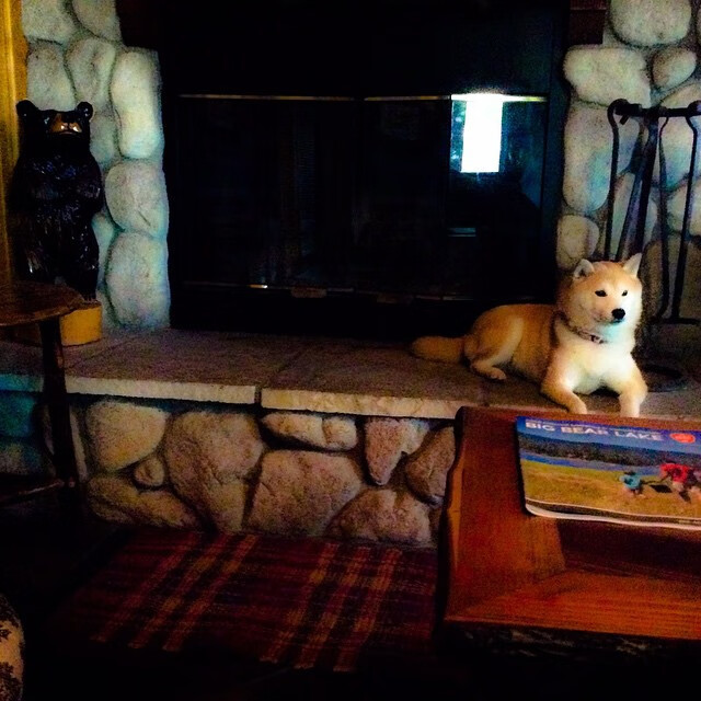 星辰逆转,本泽马独舞夜,切尔西以坚韧冷光刺穿马德里铁幕