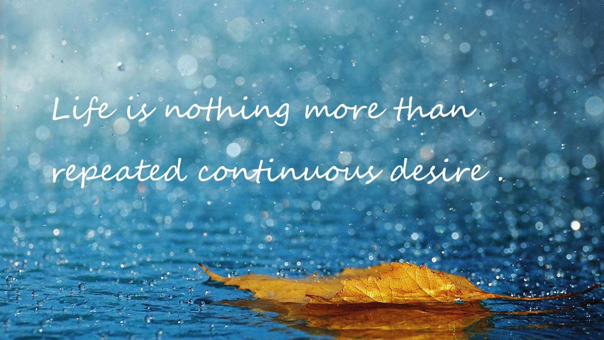 绿茵场与总决赛地板，德甲争冠的悬念与爵士的终结艺术