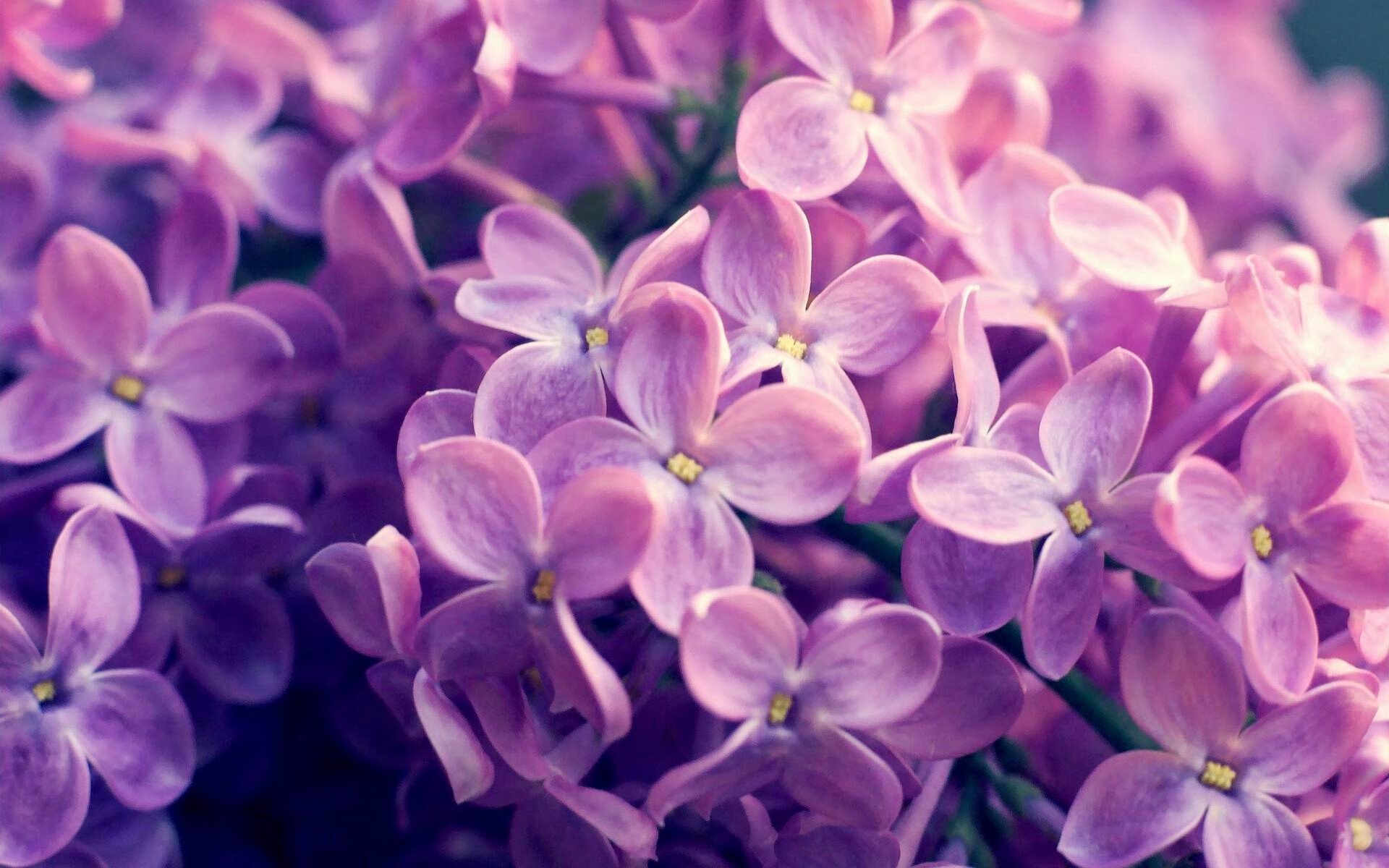 熔岩自冰川下喷涌,托尼用四球完成自我救赎,毕尔巴鄂七球狂扫牙买加