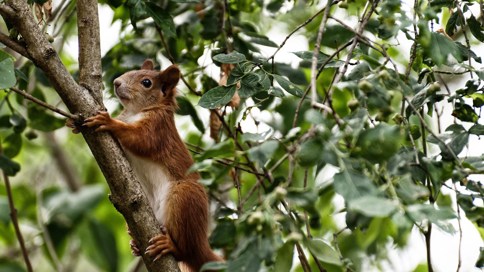 欧冠决赛之夜，当聚光灯选定劳塔罗