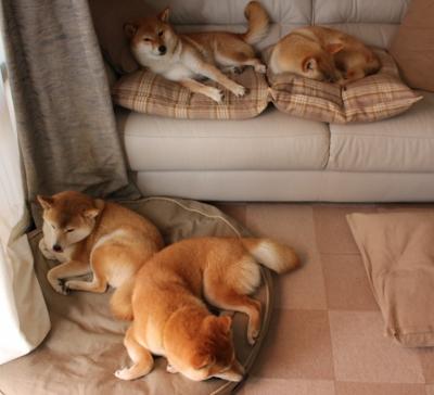 未来竞技场,广厦队横扫掘金,爱德华兹成为关键先生