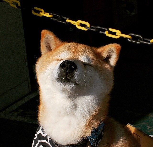 大心脏的艺术，杜兰特冷血一击与热火惊天逆转，揭示篮球终极哲学