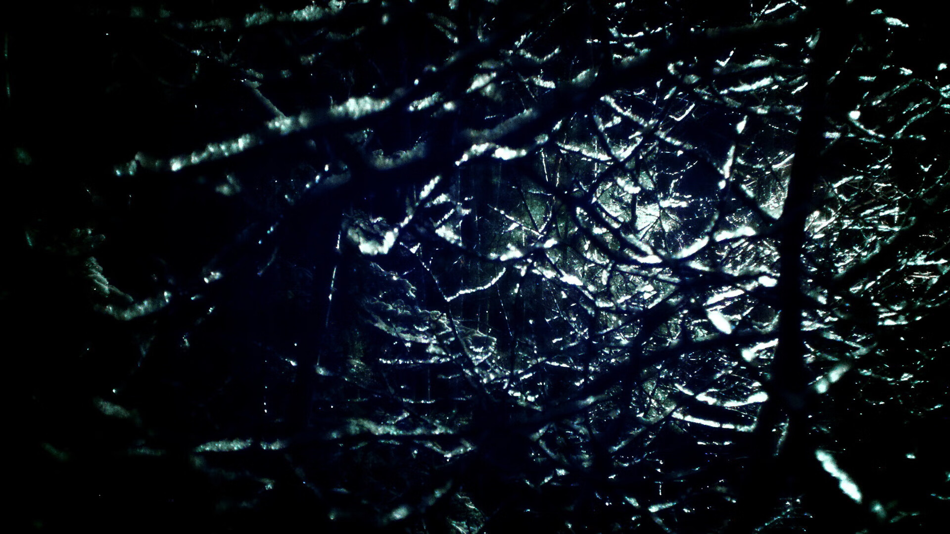 六月决战交响曲，NBA总决赛与波兰南非生死战的共振之夜