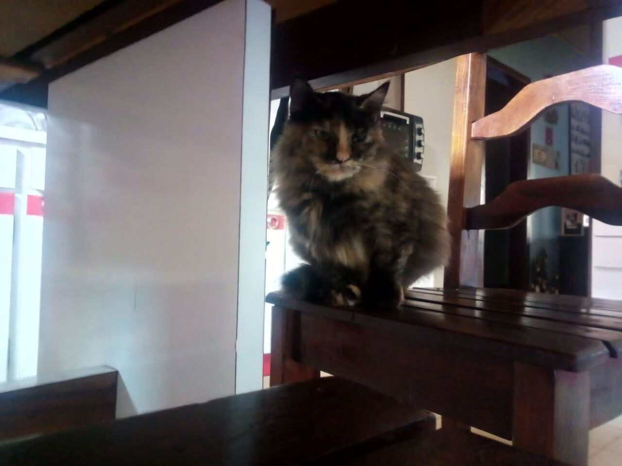 真正的奇才不在华盛顿，而在波士顿，塔图姆如何成为森林狼之战的胜负手