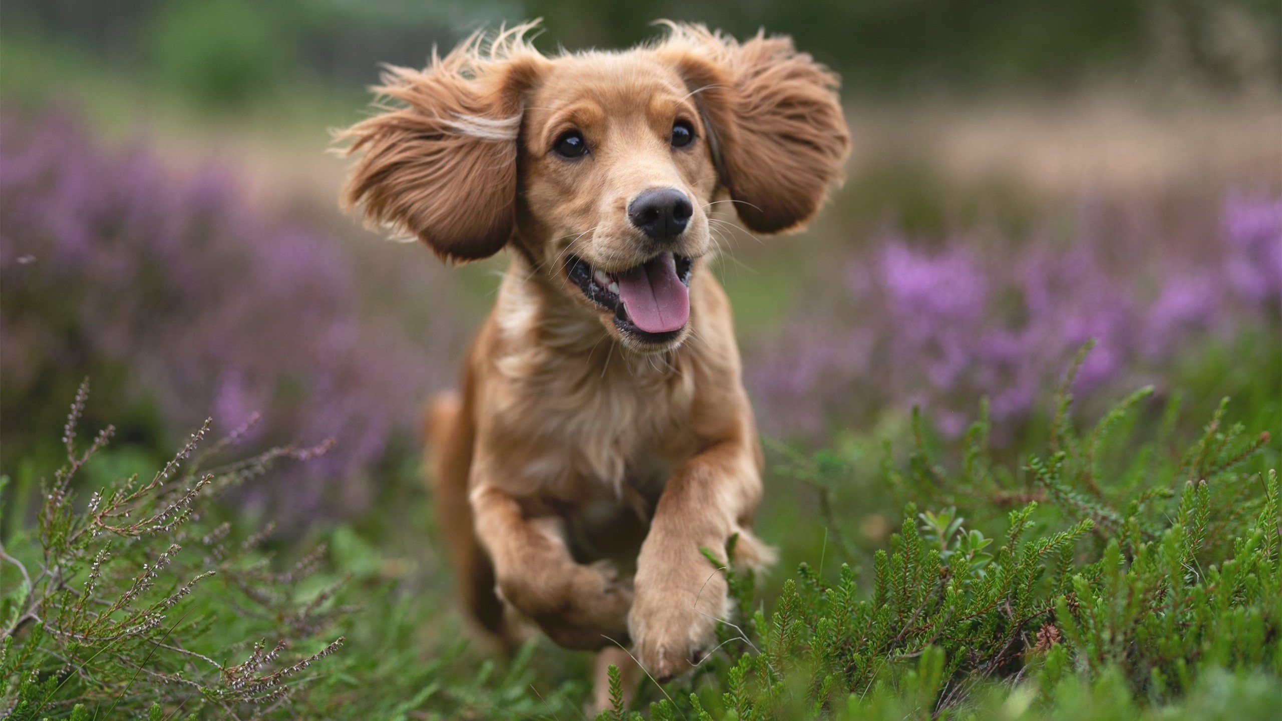 当东方铁壁遇上西方利刃，欧文末节狂飙导演逆转好戏