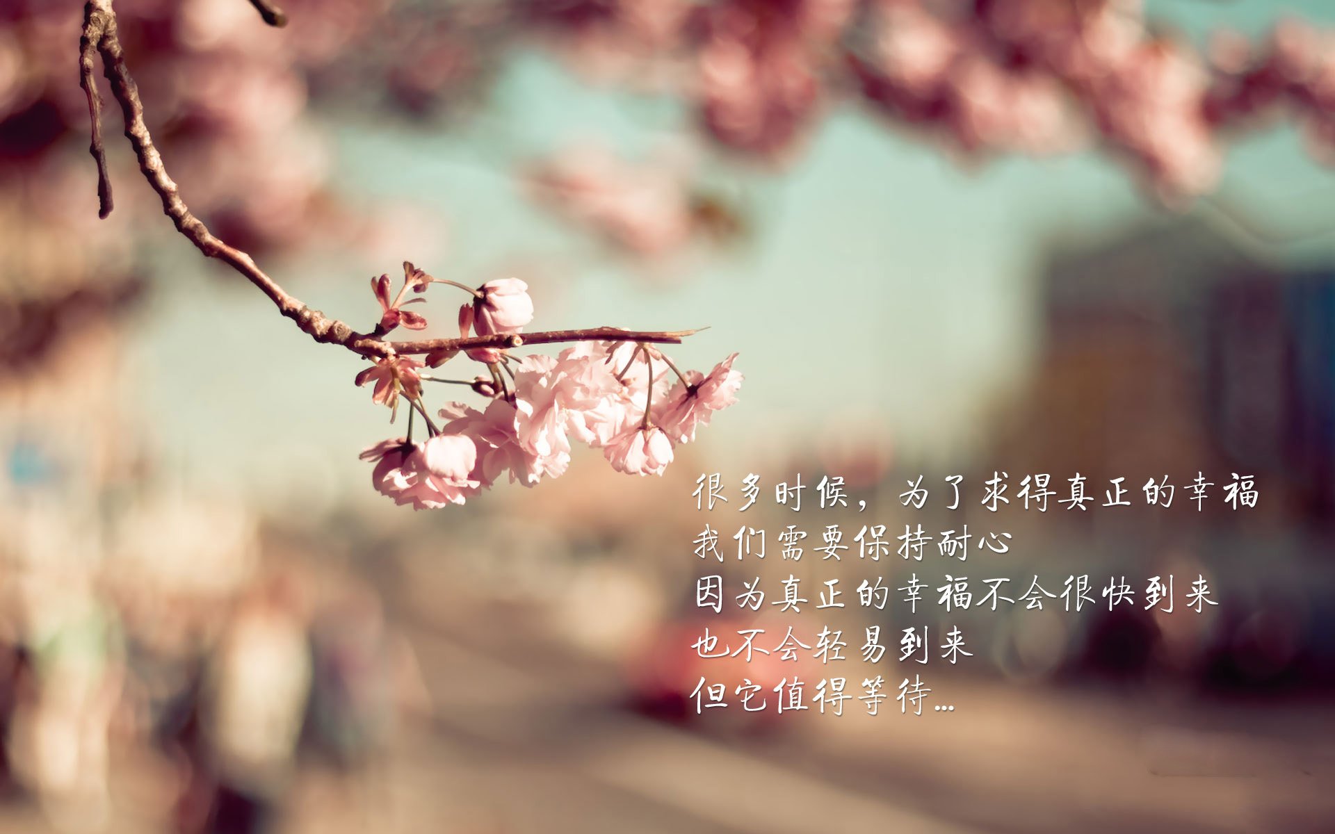 以下是为您创作的标题和文章