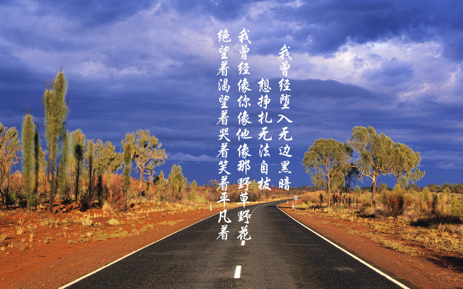 血色的仙人掌,当内马尔的孤舞,在墨西哥城下刺穿桑巴的黄昏